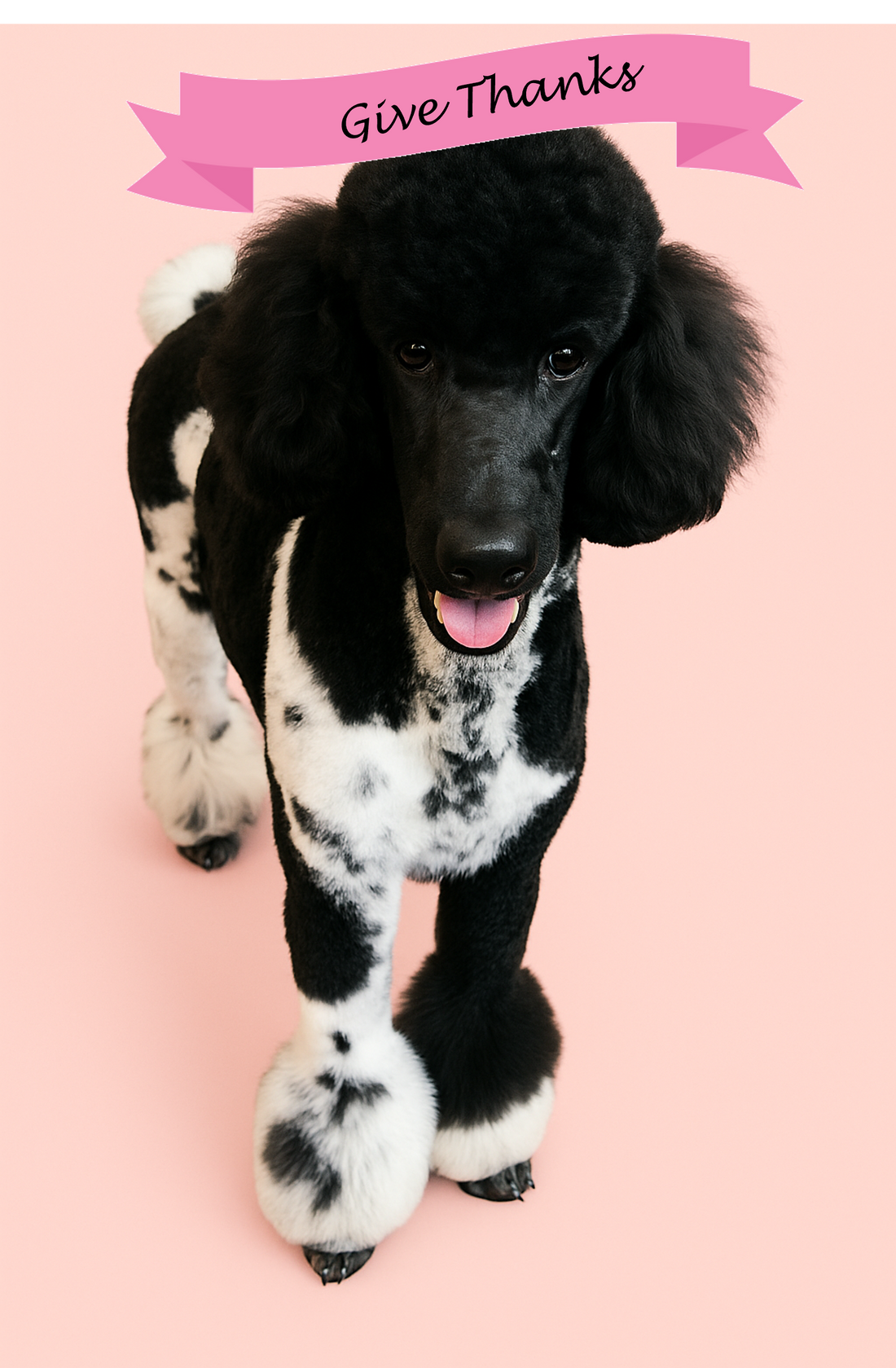 Giving Thanks and Reflecting on Blessings