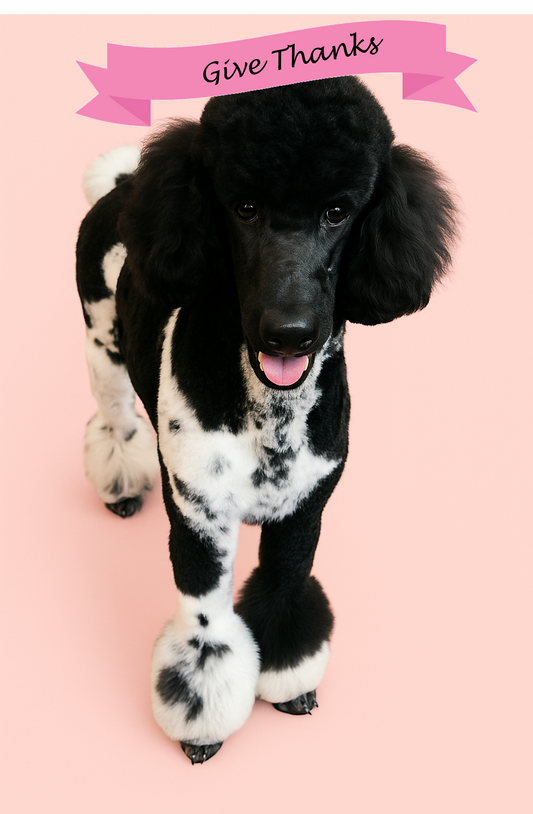 Giving Thanks and Reflecting on Blessings